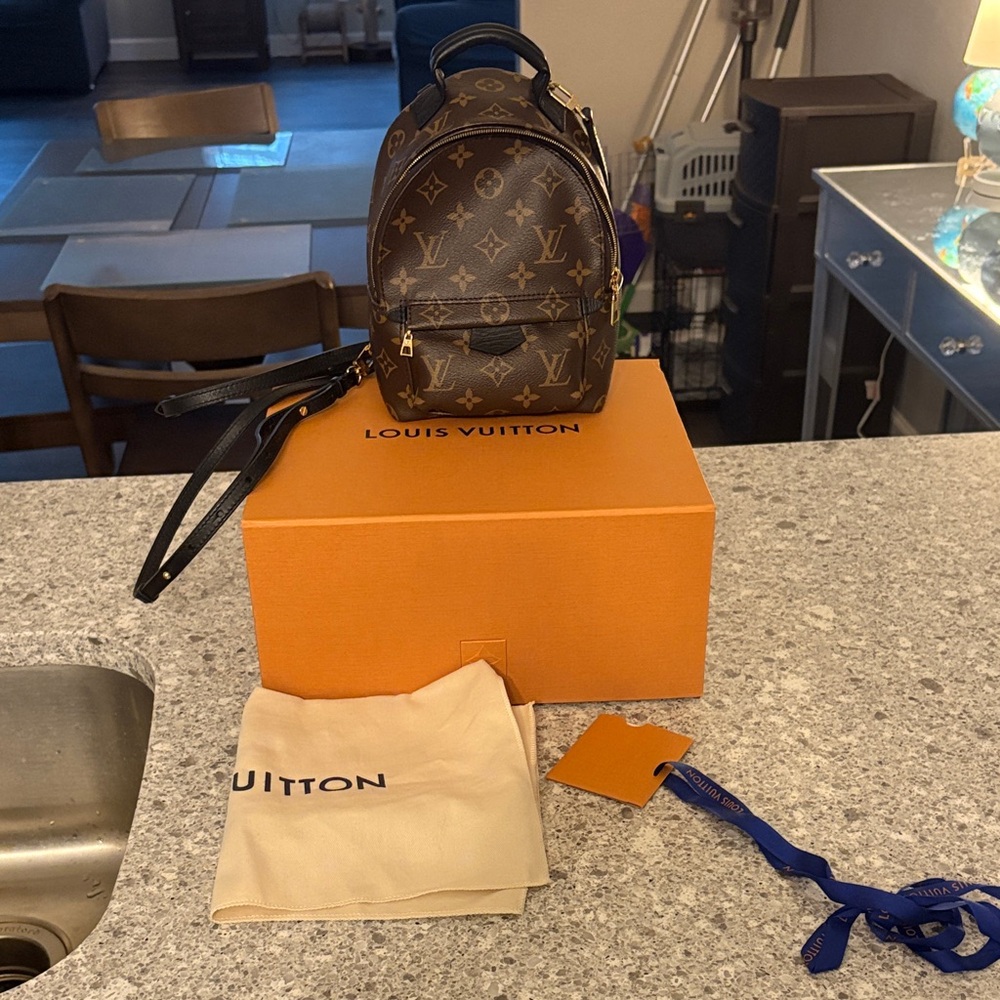 Louis Vuitton Palm Springs Mini EUC
